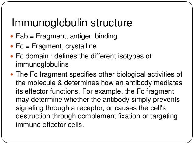 The three functions of antibodies
